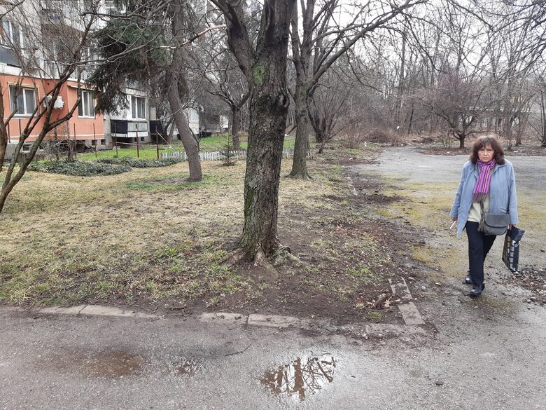 Теренът пред бл.101. Повечето от тези дървета ще бъдат отсечени.