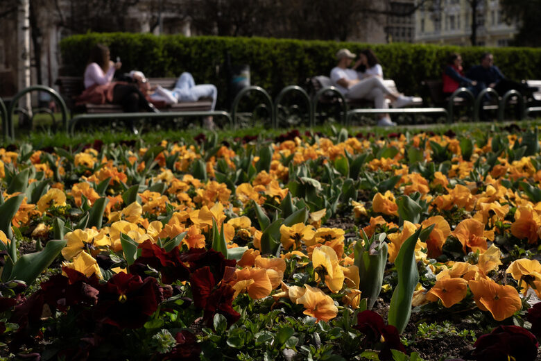  В столицата към 