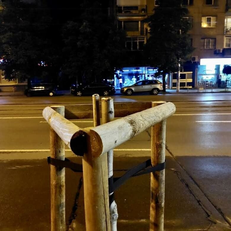  Дръвчета са отсечени, тъй като пречат на билборд до зала 