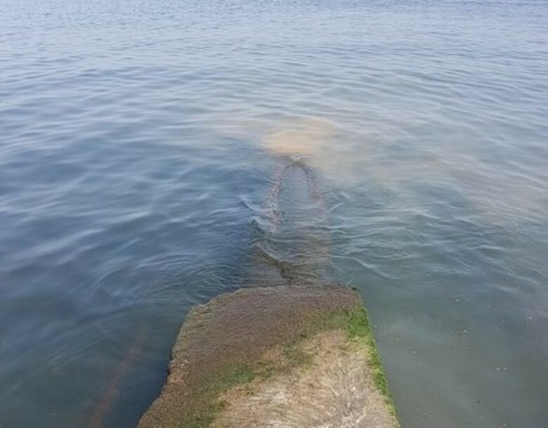 Водата от тръбите е дъждовна, а не фекална, заяви кметът на Китен