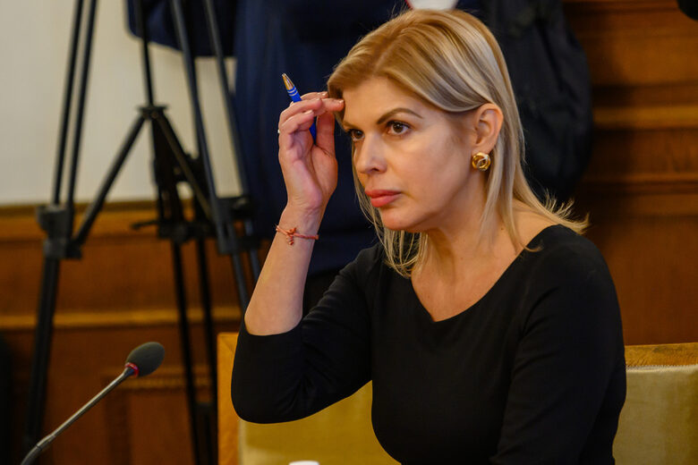Временна парламентарна комисия, създадена след убийството на Мартин Божанов-Нотариуса изслуша през февруари и Невена Зартова