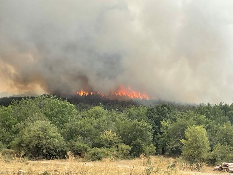 Пожарът край Хисаря наложи затварянето на път, горят около 2000 декара