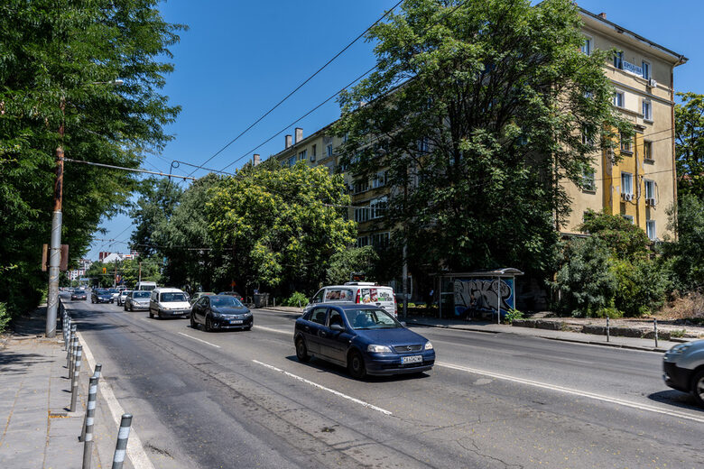 Тези дървета по ул. "Опълченска" са набелязани за отсичане. Тези дървета по ул. "Опълченска" са набелязани за отсичане.