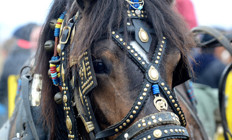 Είναι η γιορτή του Αγίου Τοντόροφ. Είναι η γιορτή του Αγίου Τοντόροφ.