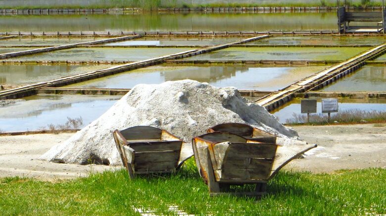 Музей на солта Музей на солта