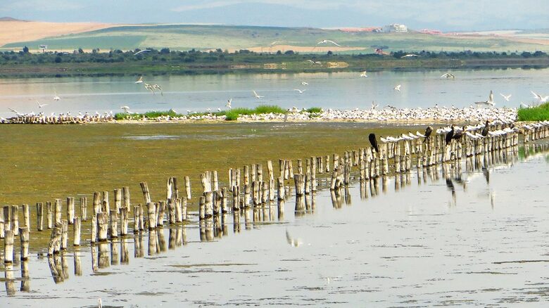 Поморийско езеро Поморийско езеро