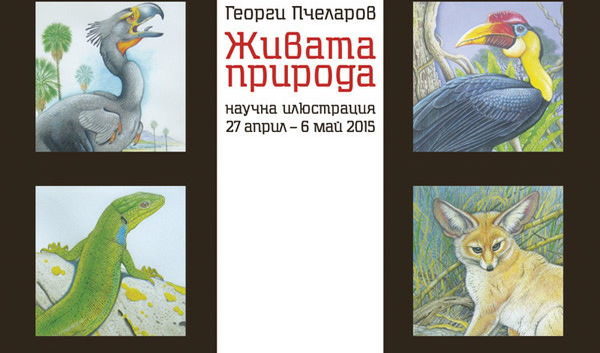 Галерия Академия