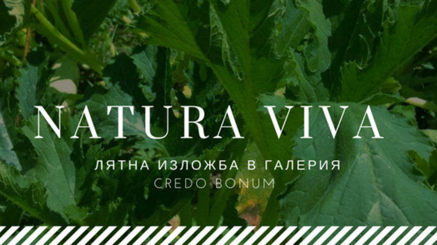 Галерия Credo Bonum