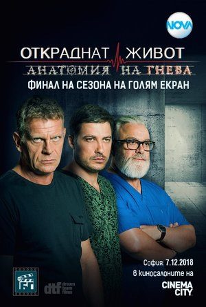 Синема Сити