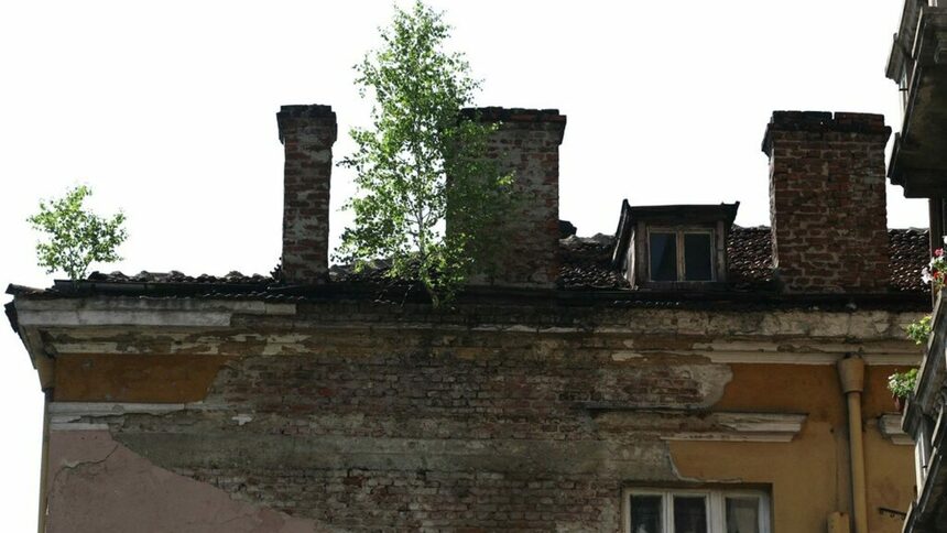 2011 г. На покрива на сградата са израсли брези, а тогавашният кмет на район "Средец" Мария Гутева нарежда да се ремонтира до два месеца. Последвало е... премахване на покрива.