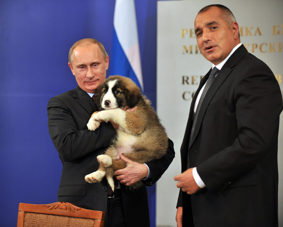 <strong>2010г: </strong>Руският премиер Владимир Путин посети България през ноември. Основната тема на разговорите му бяха енергийните проекти с Русия, които предизвикаха недоволството както на левицата, така и на десните. Путин получи от Бойко Борисов кученце - порода българска овчарка, което стана медийна звезда.