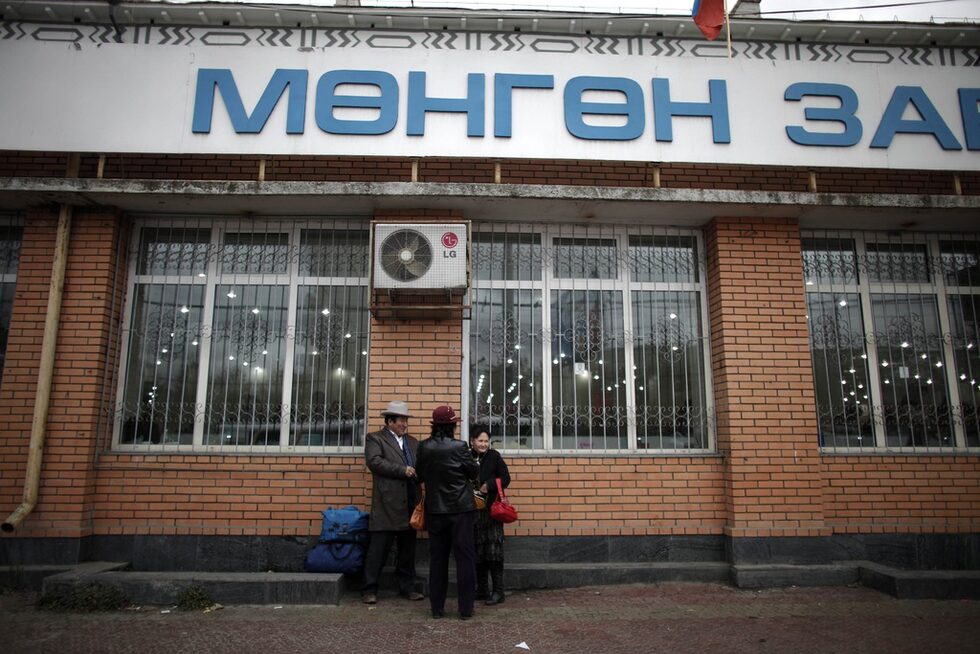 Основата на монголската икономика е селското стопанство — главно животновъдство. Отглеждат се овце, кози, едър рогат добитък и якове, коне, камили, елени, свине, птици, диви. животни с ценни кожи.