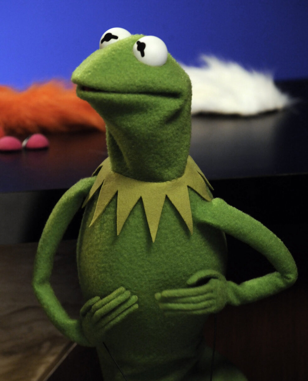 До премиерата на The Muppets у нас, която е на 27 януари 2012 г.