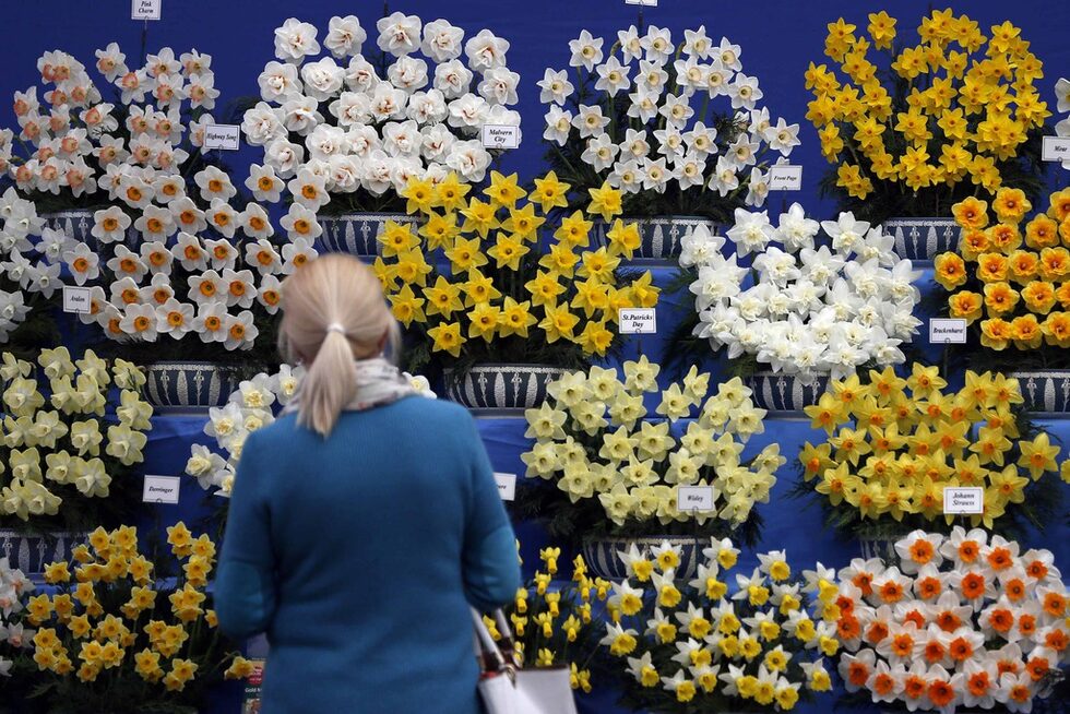 Chelsea Flower Show се провежда под егидата на Кралското градинарско общество, като първото издание е в далечната 1862 година.