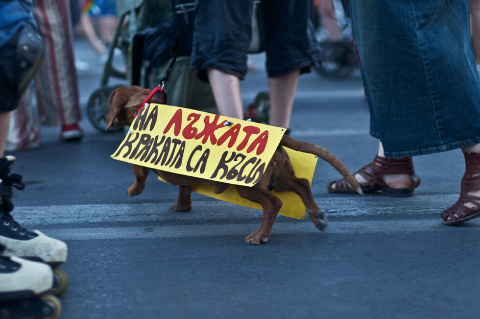 Фотогалерия: Лица и емоции от протестите - 3