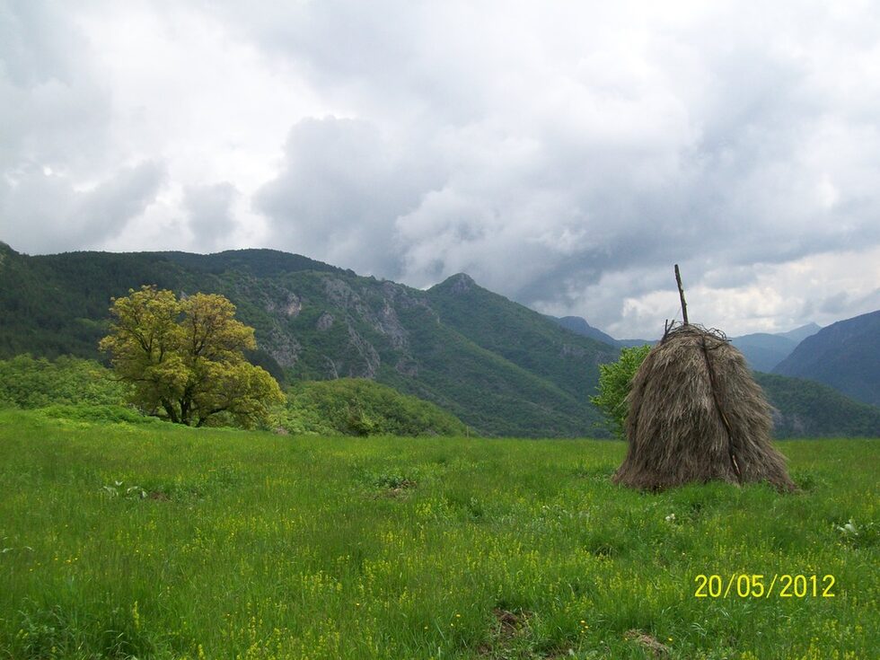 Маркировката беше лоша. Почна с жълто, после малко синьо и после едно голямо нищо. Пътеката я загубих някъде на разклона х. "Марциганица" - село Югово.Оставих много кожа в гъстите храсталаци и прегракнах от викане на Ехото. Загубването е почти сигурно за пишман туристи, които нямат навигация. Не че ще се наложи да ги търсят, но вероятно ще се озоват на място (село, хижа...) за което не са тръгнали. ГПС картата също даваше големи отклонения и често забивах на места без изход.