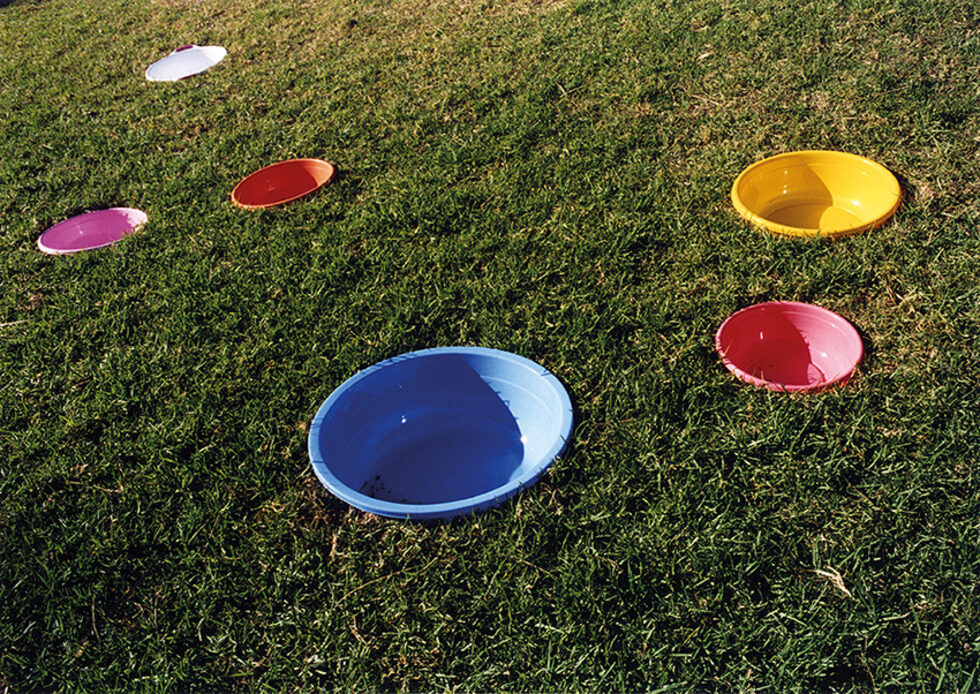 Водни монументи, 1999 / 2004<br />
детайл Закопани, легени и кофи Кралска ботаническа градина<br />
14то Биенале Сидни, Австралия