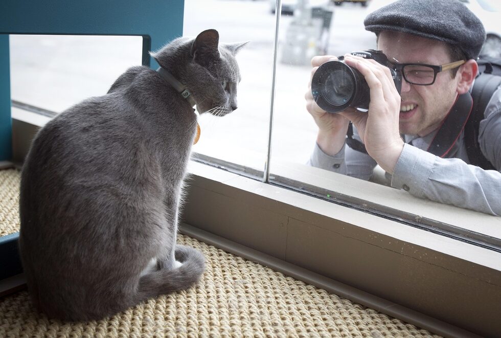 Фотогалерия: На кафе с котка в Манхатън