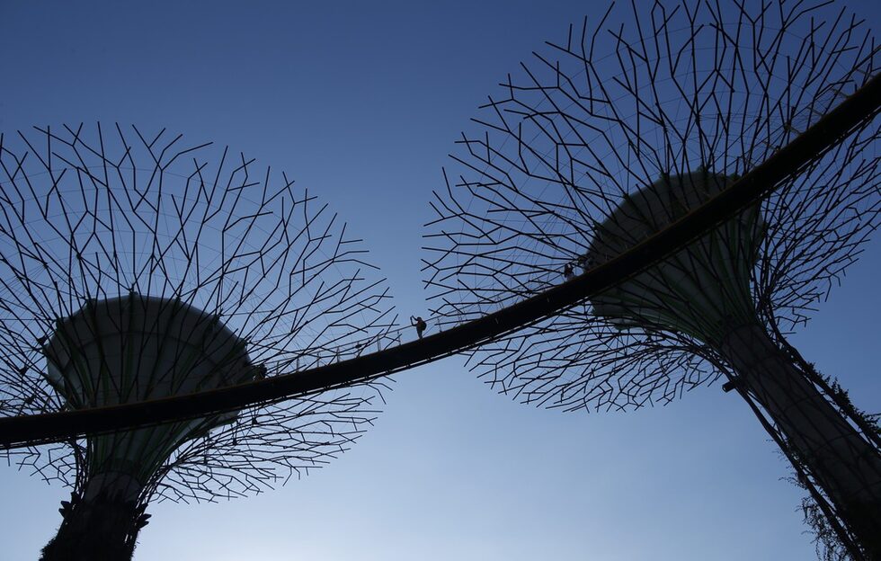 Посетител снима от конструкция наречена ''Supertrees'' в Сингапур.