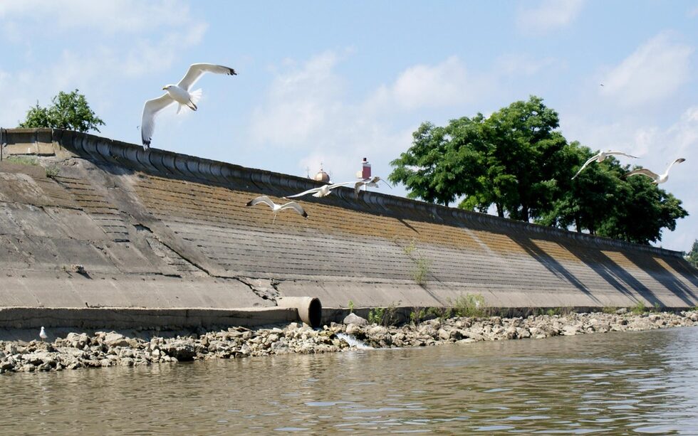 В рамките на <a href="http://www.wwf.bg/what_we_do/rivers/sturgeons/news/" target="_blank">проекта</a> на WWF-България, осъществяван съвместно с Румъния, от организацията ще опитат да спасят оцелялата есетра в Дунав, като работят с отговорните институции за следенето срещу бракониери. В друга <a href="https://d2ouvy59p0dg6k.cloudfront.net/downloads/project_synthesis_bg_final.pdf" target="_blank">инициатива</a> пък си сътрудничат с местните рибари, институциите и бизнеса за производството на есетрови продукти, които да бъдат алтернатива на тези на черния пазар.