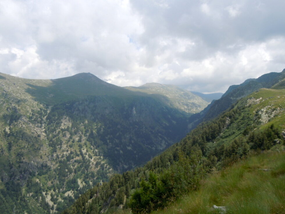Панорамата, която съпътства слизащите през връх Богдая в посока село Бистрица, е такава, че се чудиш накъде по-първо да гледаш докато внимаваш и къде стъпваш.