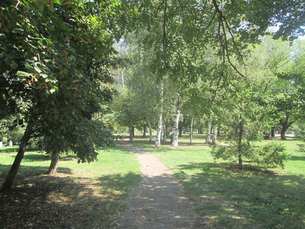 Лято в парка "Заимов".