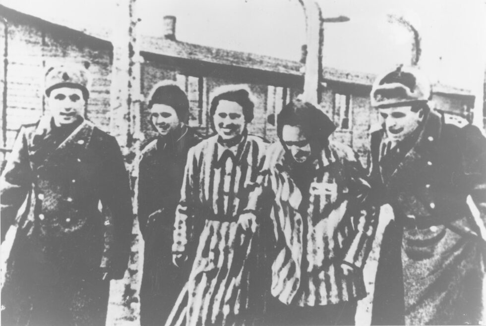 В музея на "Аушвиц" има около 100 000 чифта обувки, 12 000 кухненски пособия, 3800 куфара и 350 лагерни униформи.