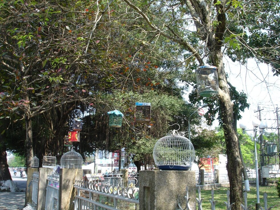 Птичият пазар в Хюе.