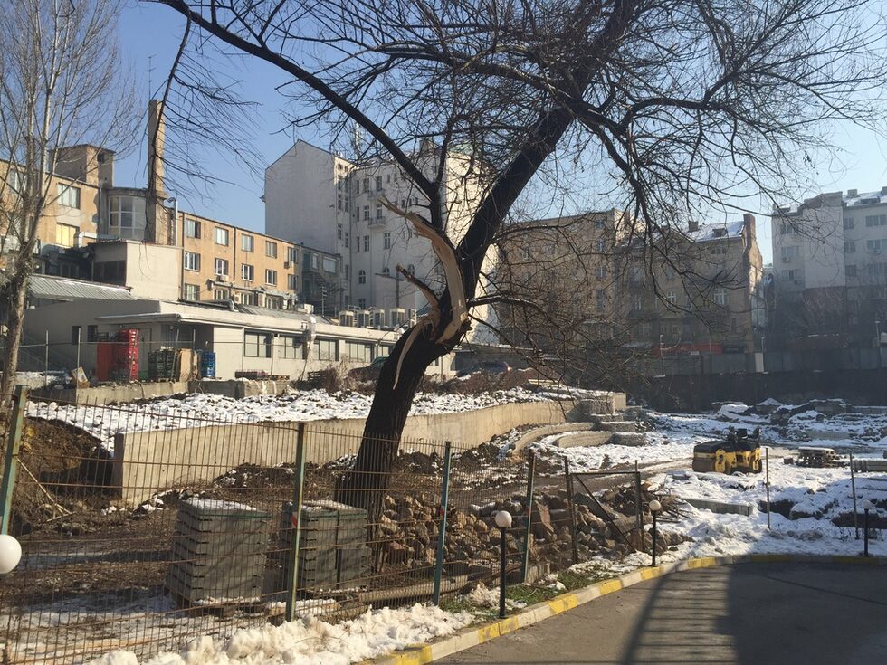 Столична община, отдел Култура &quot;строи&quot; туристичеки обект - Западна порта на Сердика (между &quot;Пиротска&quot; и католическата църква. Строителството безогледно унищожава дърветата в обекта, като вандалски ги кърши със строителните машини.<br />
<br />
Но не стават жертва само дърветата - явно и археологическите останки пречат на проекта на Общината, защото останките от стени биват брутално разрушени, а облите камъни от тях виждаме натрупани на купчина до окършените клони от дървото... Така Столична община облагородява градската среда и кандидатства за европейска културна столица...<br />
<br />
На снимката:<br />
Как се кастри дърво, когато пречи на проекта