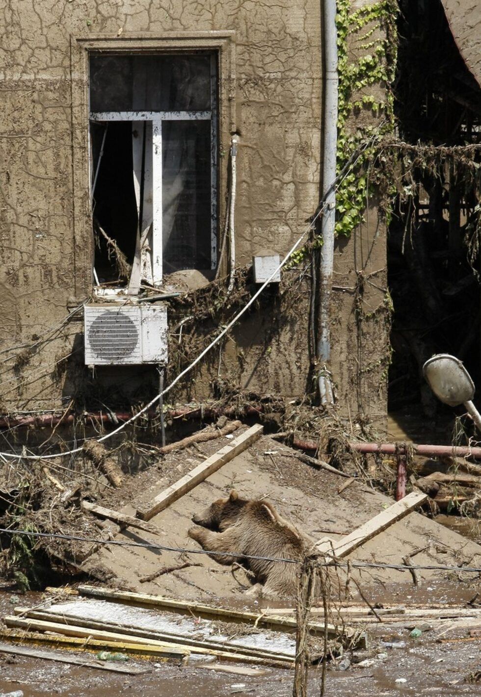 Фотогалерия: Разрухата след наводнението в Тбилиси
