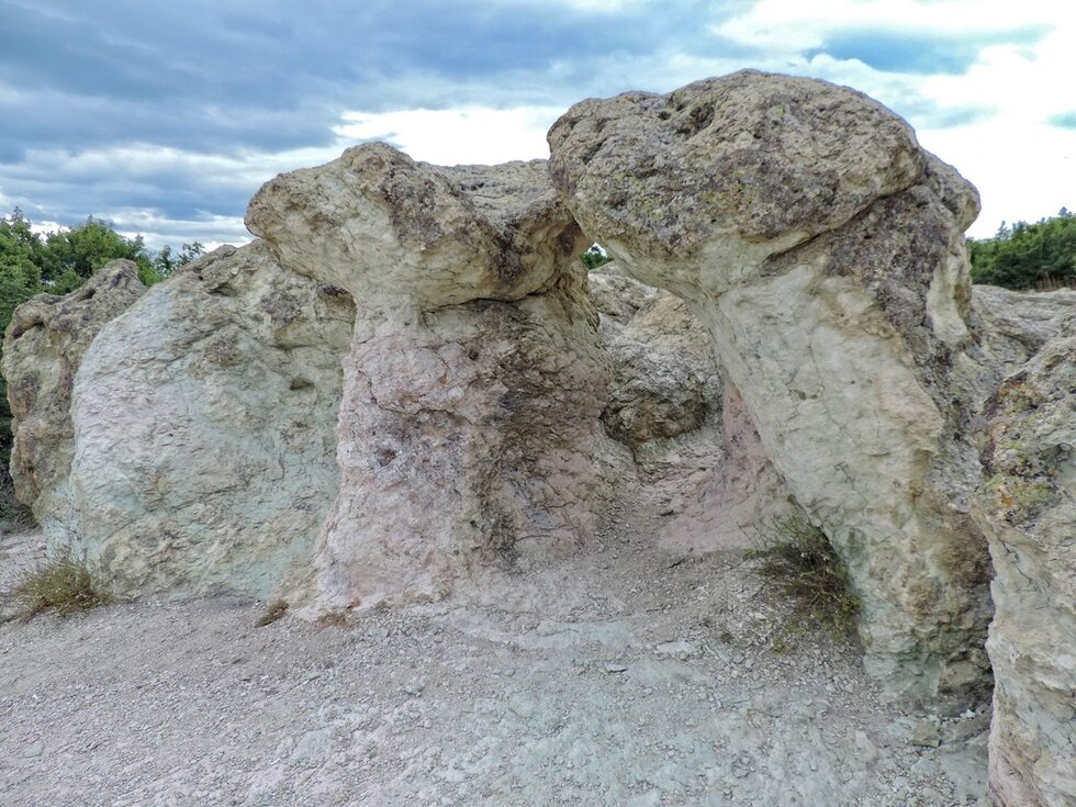 Каменните гъби