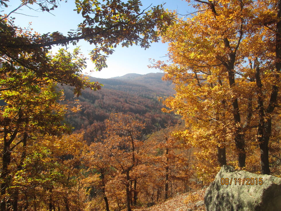 На места планината определено е златна.
