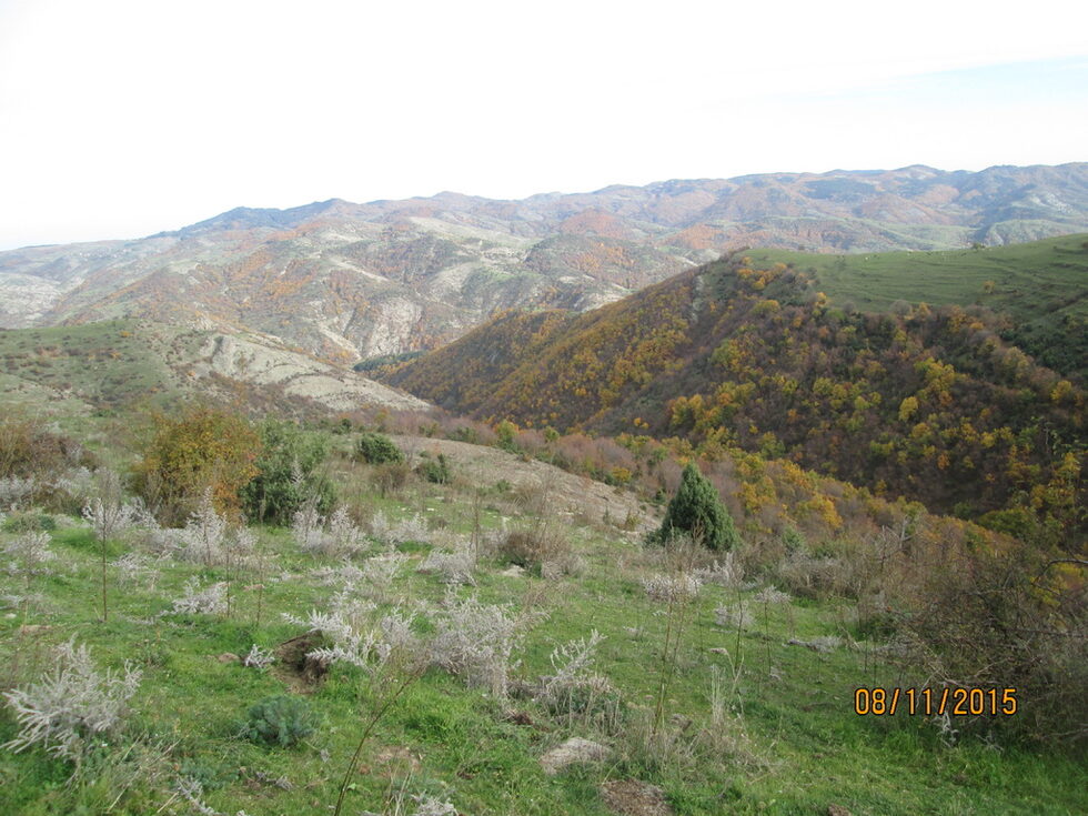 Местността Асар кая.
