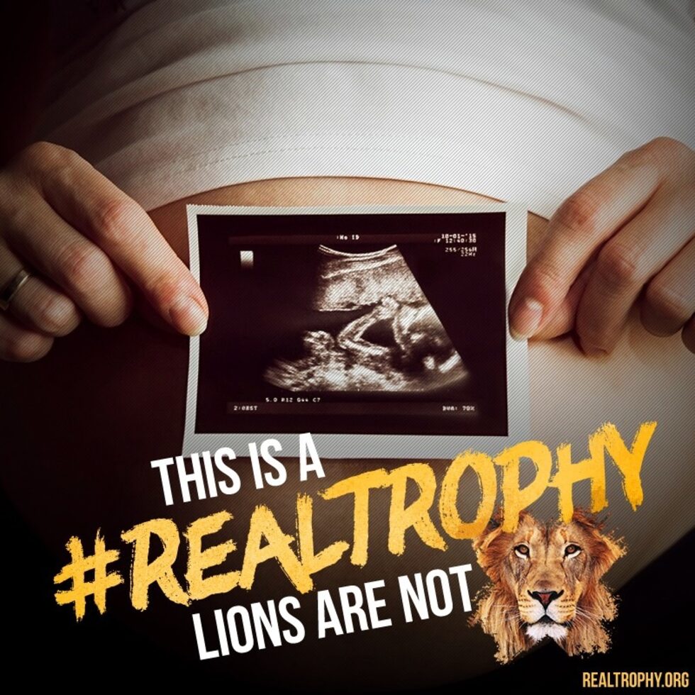 На сайта www.realtrophy.org всеки може да покаже, че има далеч по-ценни трофеи от кожата на отстрелян лъв пред камината.
