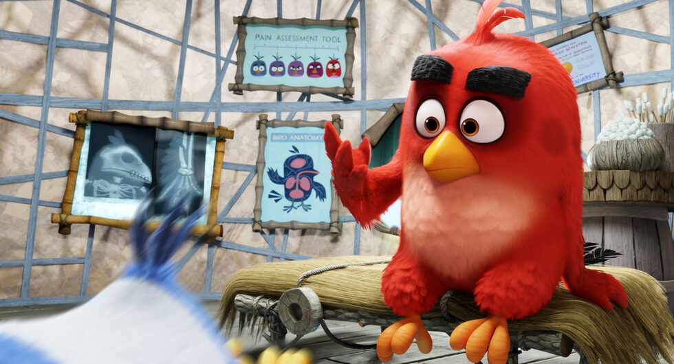 Мейзъл се свързва с Микаел Хед, основателят на Rovio и по-късно изпълнителен продуцент на филма. "Получих телефонно обаждане от Холивуд и ме попитаха дали биха могли да направят филм за Angry Birds. Наистина тогава за първи път ми хрумна, че един такъв филм може действително да се направи. Това беше първата стъпка на това приключение."