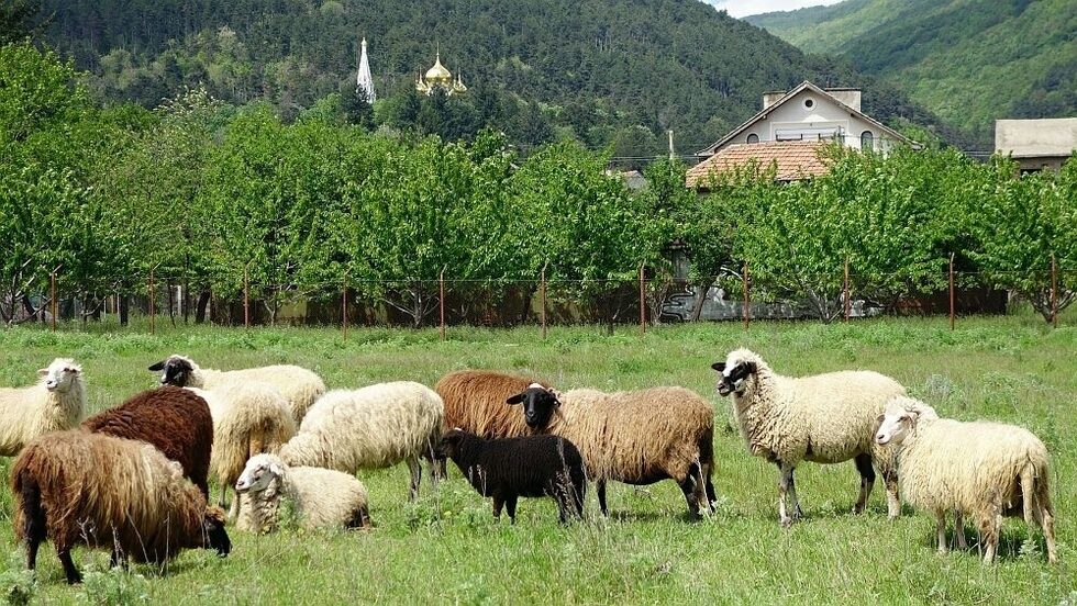 На път към долината на тракийските царе.