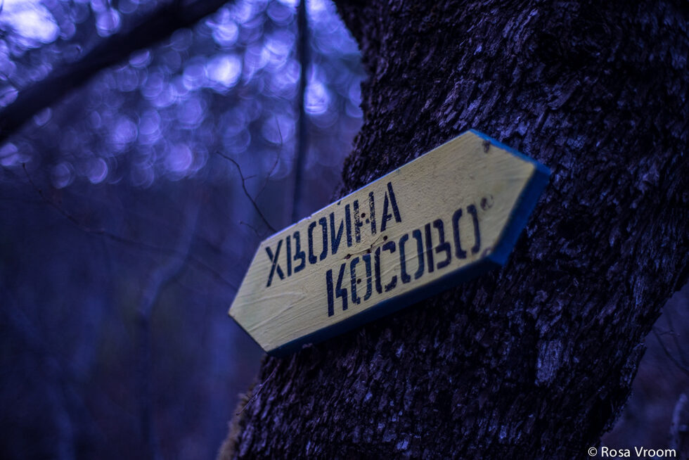 Наоколо има няколко маркирани маршрута за разходки из дивите Родопи, като пътеката от с. Косово до с. Хвойна.