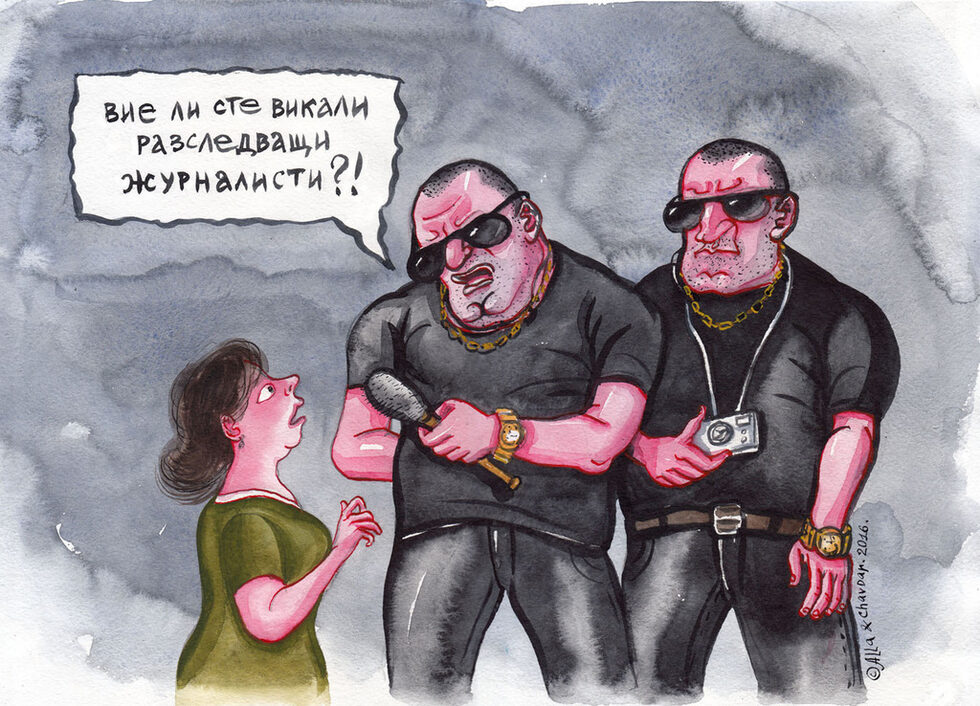 Изложбата е провокирана от случката с изтритото от "Нова броудкастинг груп" и "Нетинфо" съдържание на Чавдар Николов <a href="http://www.dnevnik.bg/bulgaria/2016/04/13/2741751_karikatura_za_borisov_i_svinskite_opashki_izchezna_ot/" target="_blank">след карикатурата му с премиера, "ловеца на бежанци" Динко и т.нар свински опашки</a>. Името е "Карикатура 113", защото България падна до 113-о място по свобода на словото в класацията на "Репортери без граници".