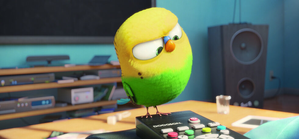 ...или пък гледат "риалити" по Animal Planet?