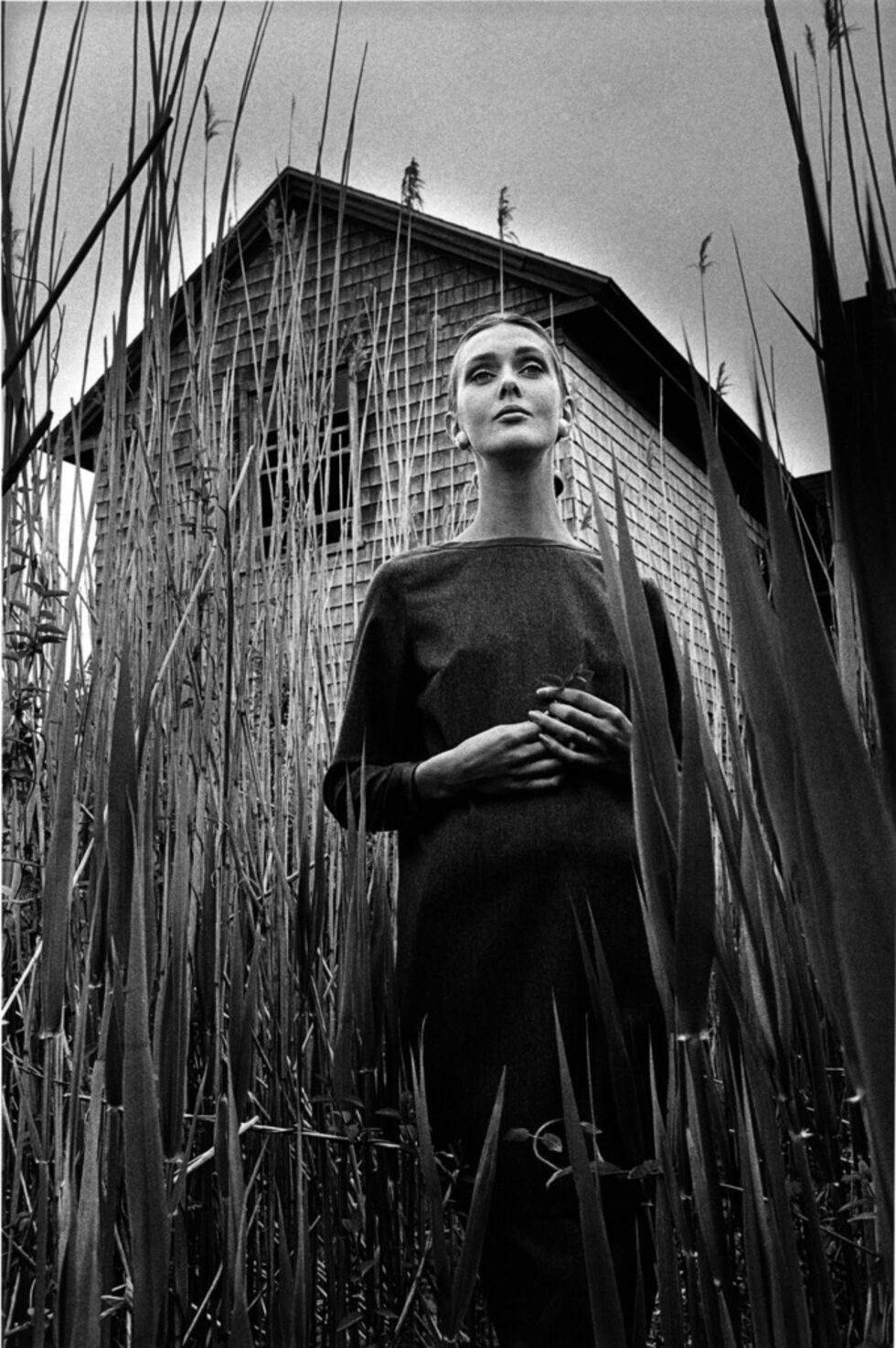 Jean Loup SIEFF,<br />Ina à East Hampton,<br />1963