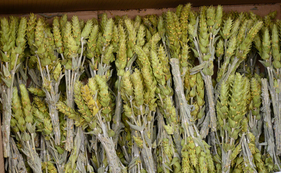 Фотогалерия: Малки удоволствия за душата и стомаха преди Коледа