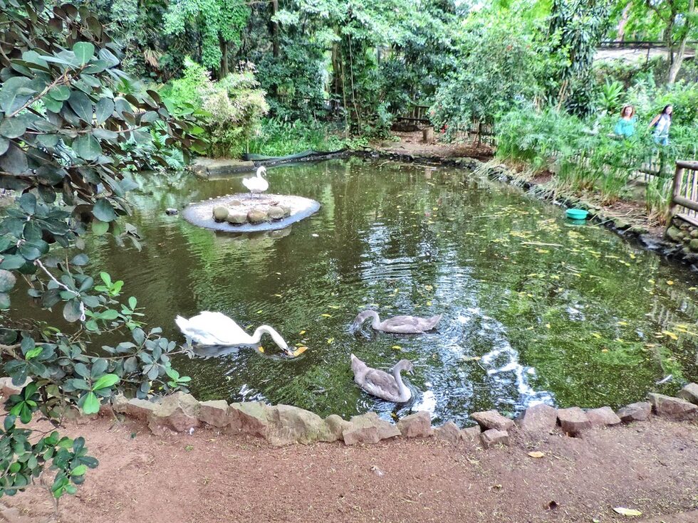 Разположен е на мястото на стара кариера, което е било пълно с вода и където Алън Обри ходел още като малко дете, растящо в Дърбан.