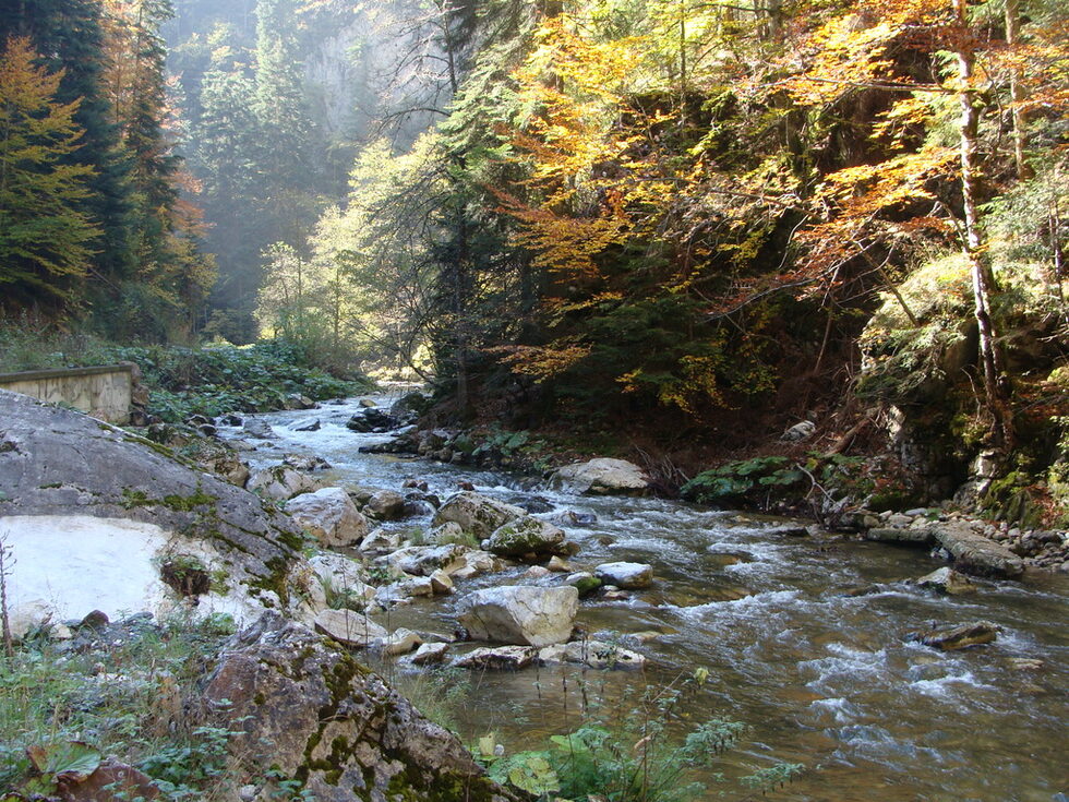 английски: gorgeнемски: die Schlucht, -enСинонимитесен отвор, устие, гърло.