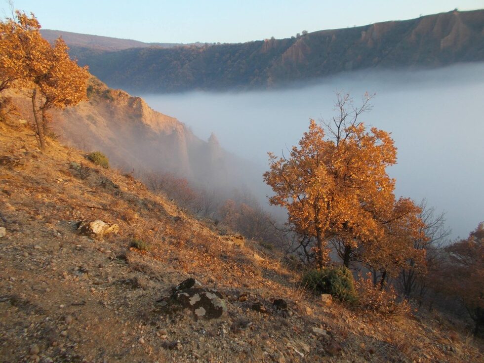 Красотата на природата е качество на самата природа, а не на хората. Природата може без нас, ние не можем без природата.