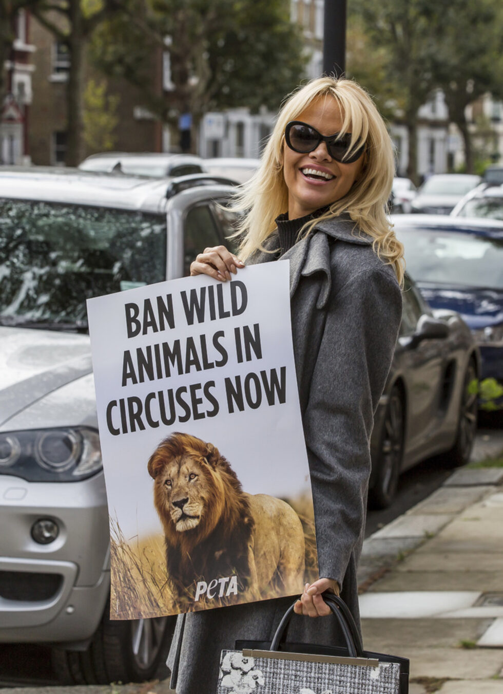 Памела Андерсън позира с плакат в подкрепа на организацията PETA ("Хора за етично третиране на животните") в Лондон на 12 октомври 2016 г.