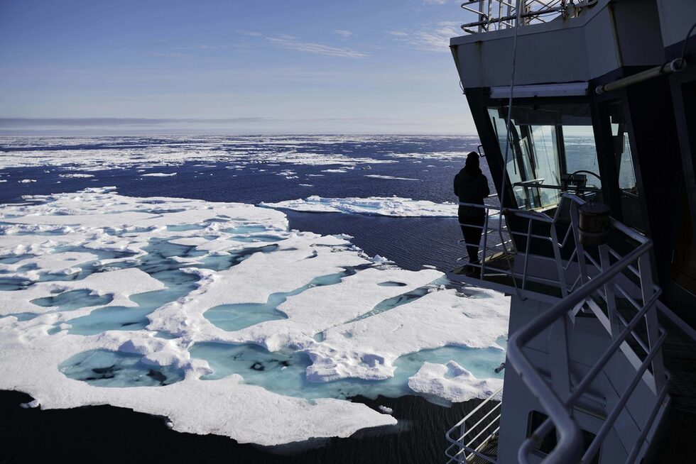 Към него спадат Бафиново море, Баренцево море, море Бофорт, Чукотско море, Източносибирско море, Гренландско море, заливът Хъдсън, Карско море, море Лаптеви, Бяло море.