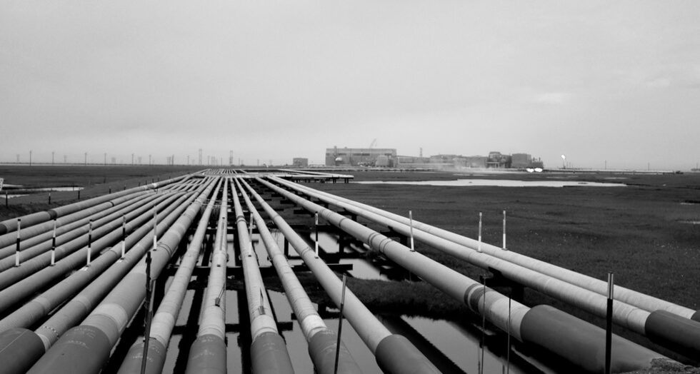 През прозореца на автобуса се виждаха нефтените платформи, които заместваха планините и горите няколко стотин километра преди Прудоу Бей.
