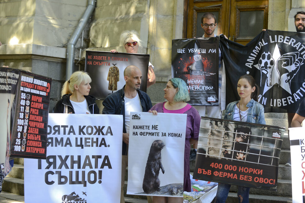 Фотогалерия: Протест срещу отглеждането на норки заради кожи