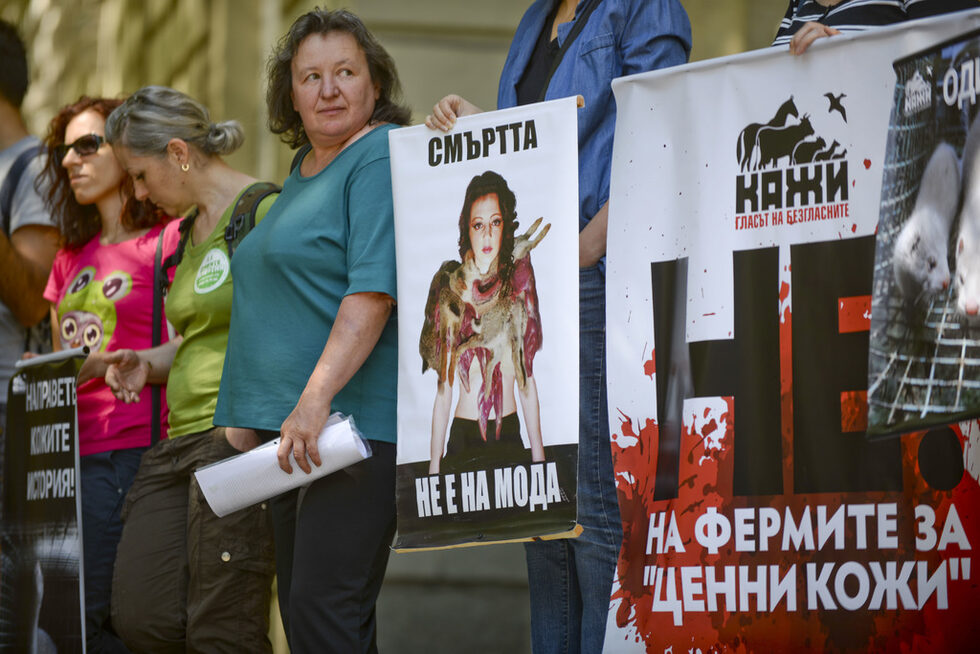 Фотогалерия: Протест срещу отглеждането на норки заради кожи