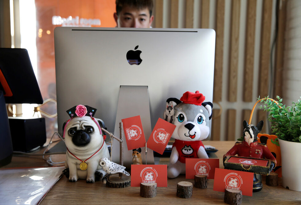 Фигурки на домашни любимци посрещат клиентите на рецепцията на курорта.